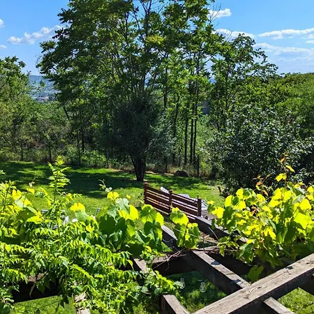 Villa Arode Nature Bellevue