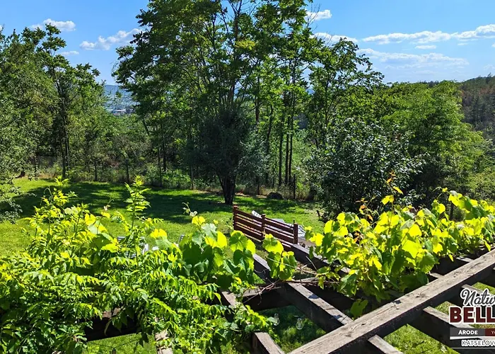 Вилла Arode Nature Bellevue